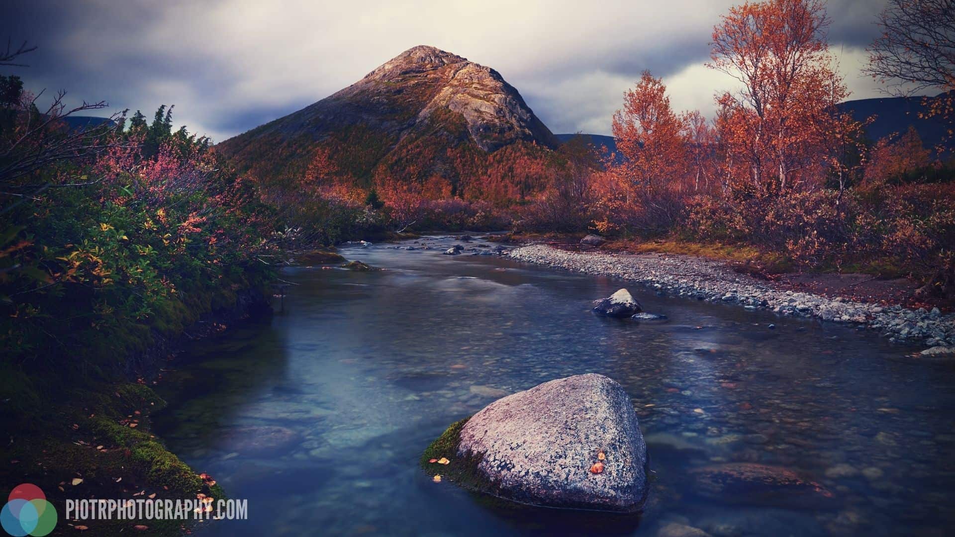 Polarizing Filters: What are They and How to Use Them?